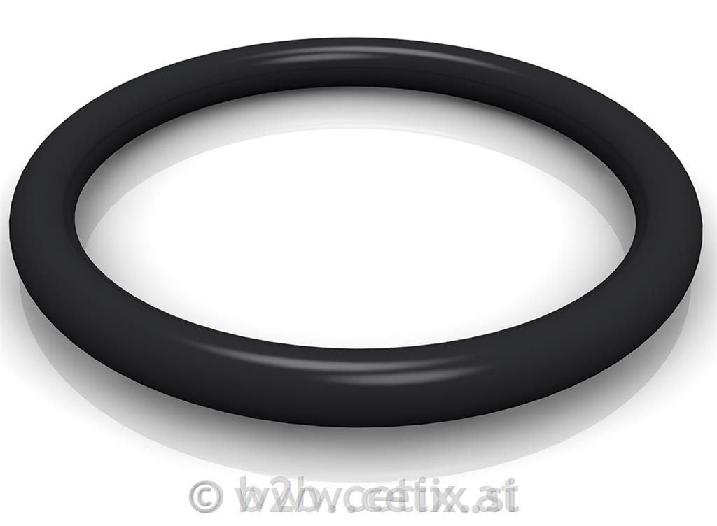 O RING - 24''col za platišča